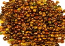 natural dye plant seeds - Wild Colours natural dyes