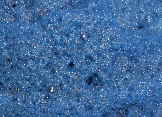 Dyeing with woad - the blue natural dye