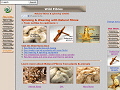 Wild Fibres for weaving, spinning & dyeing