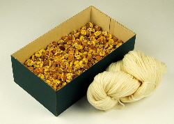 Dyers's Chamomile flowers 200 gm with 100 gm of Blue-faced Leicester wool