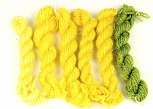 Dyers's Chamomile dyed wool