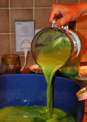 pouring blended Japanese Indigo leaves