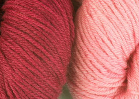 Cochineal dye extract