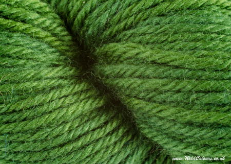 Wool dyed with greenweed extract and indigo