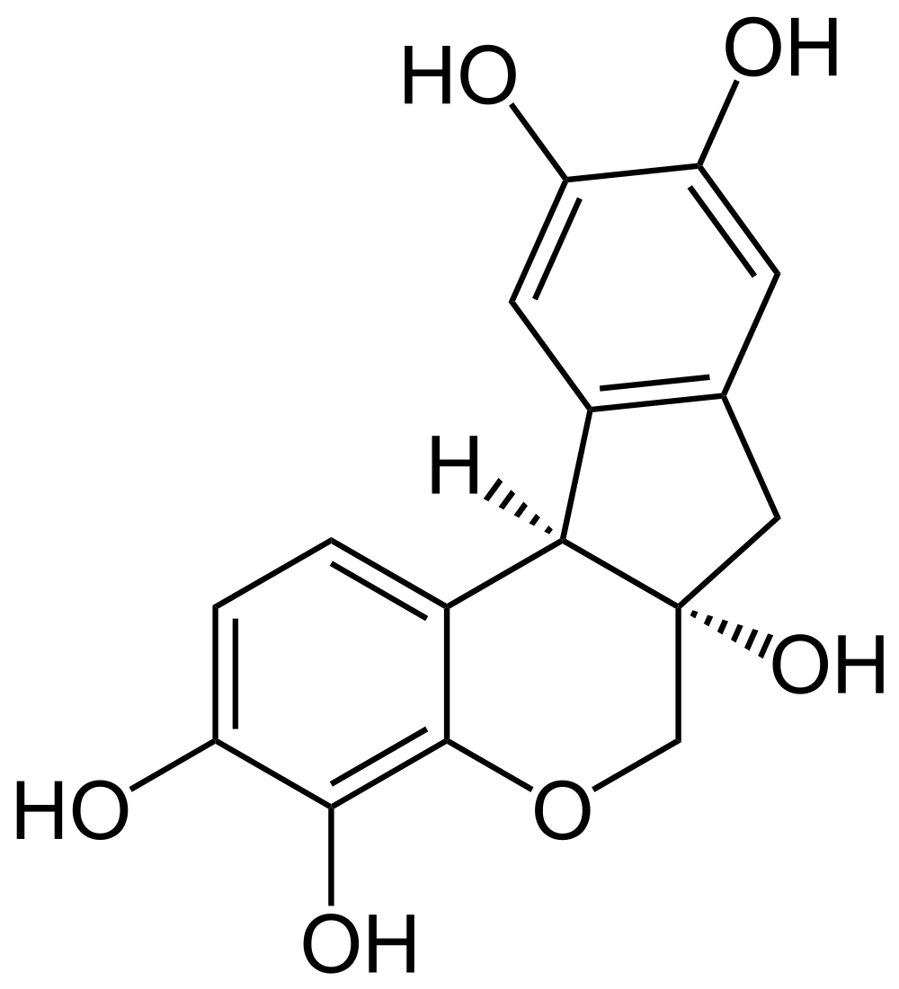 chemical structure of haematoxylin natural dye